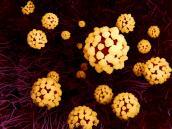 Coronavirus_Viren
