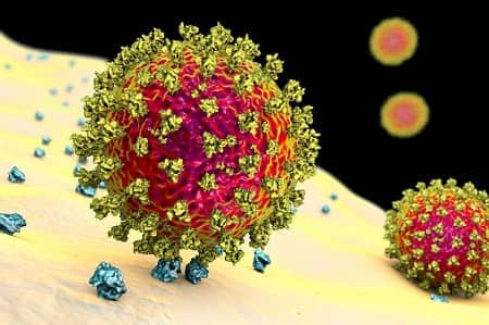 Coronavirus mit Körperzelle