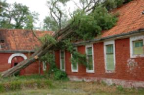 Experten schätzen, dass Xynthia die deutschen Versicherer bis zu 1 Milliarde Euro kosten wird.