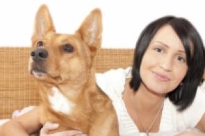 Eine Haftpflicht könnte in Deutschland bald für alle Hundehalter gesetzlich vorgeschrieben sein.