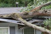 Hausdachschaden durch umgestürzten Baum