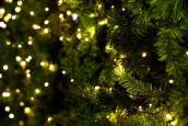 Weihnachtsbaum Nahaufnahme